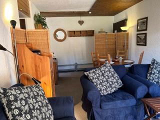 Appartement 3* aux Gets, proche des pistes, balcon et terrasse, offre tout confort ! - FR-1-623-250 - Les Gets - 6