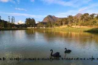 Art Green Teresópolis - 4