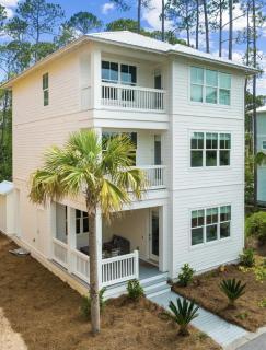 Scissortail at Treetop - Santa Rosa Beach - 4