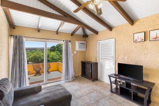 Caribbean View Style condo - Christiansted - 8