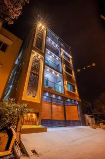 ANI Living Spaces Stylish 1RK at BTM Residency 103 - 8