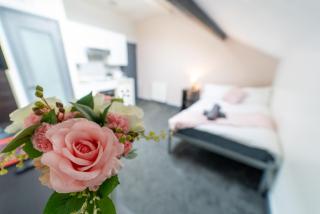 Remarkable 1-Bed Studio in Birmingham - Birmingham - 5