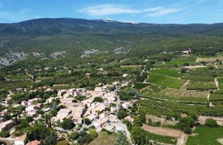 Chez Fanny - 9