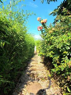 Die Art Farm I Group Rental near Frankfurt I Messe - 1