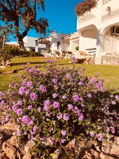 Casa Ns - Albufeira - 1