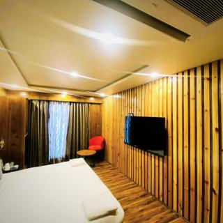 HOTEL ADLIFE LUXURY - Srinagar - 1
