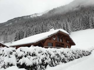 Chalet de charme, 4 chambres avec terrasse, proche centre et pistes, navette gratuite - Morzine - FR-1-754-27 - Morzine - 5