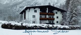 Appartement Seidner - Angerberg - 9