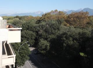 Villa Giulia BnB - Viareggio - 8