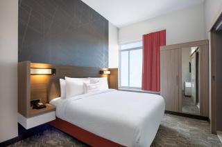 SpringHill Suites Denver Parker - Parker - 8