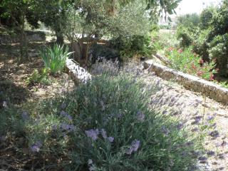 Apartment Green Garden - 2