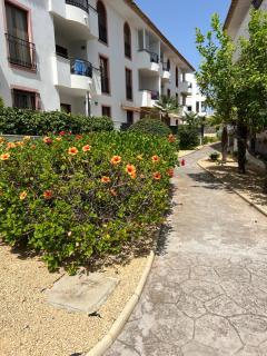 Apartamento Alfaz Del Sol - L'Alfàs del Pi - 5