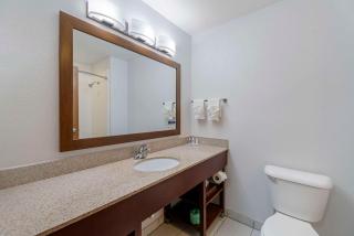 Comfort Suites Lake Geneva East - Lake Geneva - 4