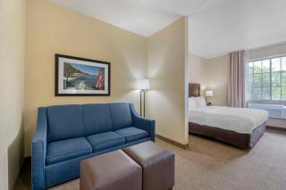 Comfort Suites Lake Geneva East - Lake Geneva - 2