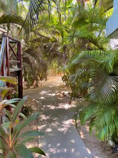 Pacha Tulum Boutique Hotel - Tulum - 9