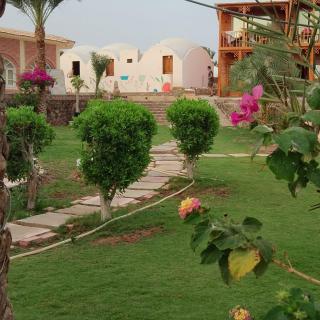 Mermaid camp - Nuweiba - 1
