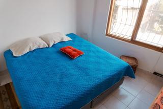 Encanto Colonial en San Antonio - 5