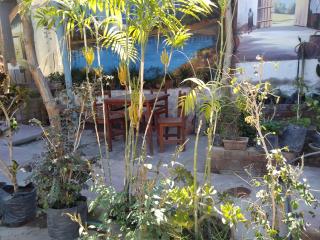 Habitación privada familiar con jardín para Srtas en Ica centro - Ica - 9