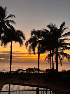 ABSOLUTE BEACHFRONT BLISS - NEWELL BEACH - 10 Metres to the Ocean - Newell Beach - 7