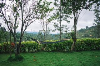 MF Holiday Bungalow - 3