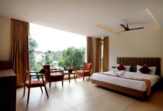 Bluemist Resorts - Athirappilly - 6