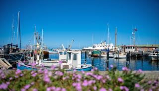 Harbour Inn Hundested - Hundested - 1