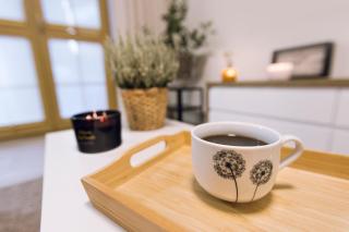 Apartament Młynkówka - 9