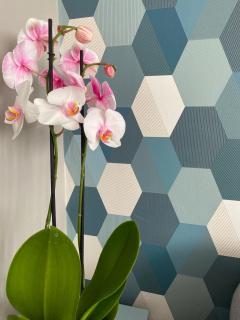 Le Cosy, Appartement Chaleureux 2 chambres - 2