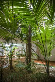 Aparthotel las Dunas - 9