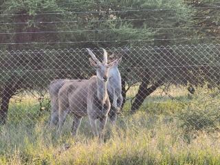 Seasara Guest Farm - 4