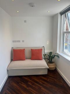 Spacious Battersea Rooms and Apartments - 2