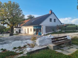 Čenovický dvůr - Čestín - 9