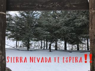 Inside Plaza Sierra Nevada - Serra Nevada - 7
