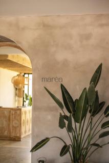 m a r ė a - José Ignacio - 2