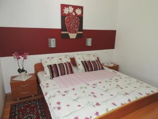 Apartments and Rooms Tavcar - 5