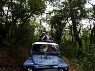 Portal de Piedra - 1