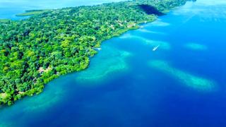The Birds Nest - Bocas del Toro - 7