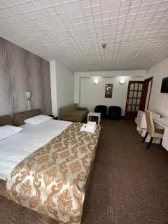 Darin Hotel - Bucharest - 1