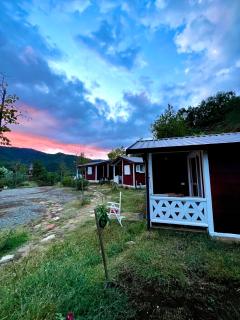 Baven -Toven Naturae - 2