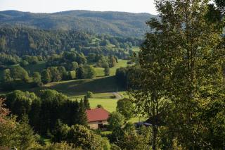 Le Bois gentil - Foncine-le-Haut - 6