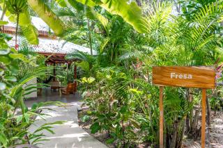 Banana Beach Bungalows - Santa Teresa Beach - 9