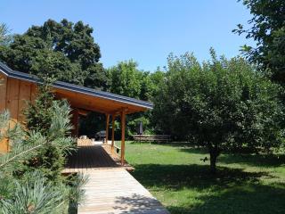 Nica Wood - Sremska Kamenica - 5