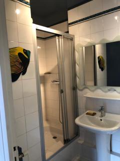 Superbe appartement 100m2 avec terrasse 100m2 - 6