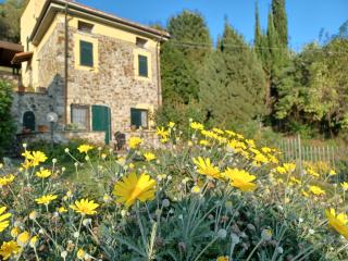 Il Fontolo - Ponzano Superiore - 0