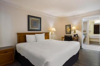 Super 8 by Wyndham Savannah - Savannah - 7
