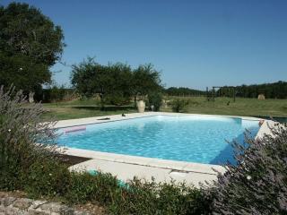 Demeure Historique avec Parc, Piscine Chauffée et Confort Moderne près du Zoo de Beauval - FR-1-381-199 - Orbigny - 8