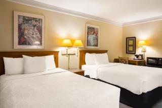 Super 8 by Wyndham Savannah - Savannah - 9