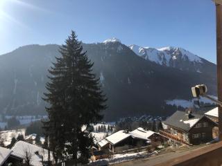 Chatel: 3 pièces, Terrasse, Animaux admis, Parking - FR-1-198-257 - Châtel - 3