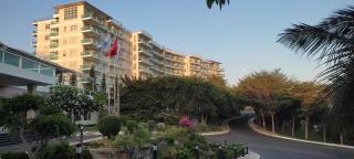 Căn hộ du lịch C514 Ocean Vista - 4