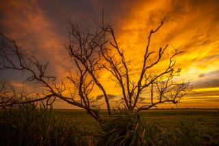 Finniss River Lodge - Rakula - 3